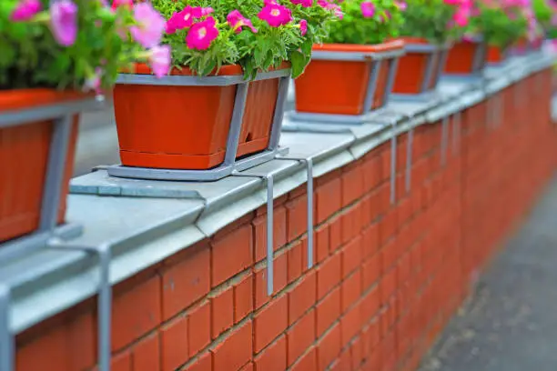 Balcony & Container Garden Support