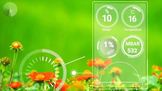 Watering Schedule & Smart Care Setup